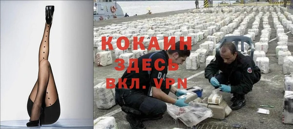 крисы Алексин