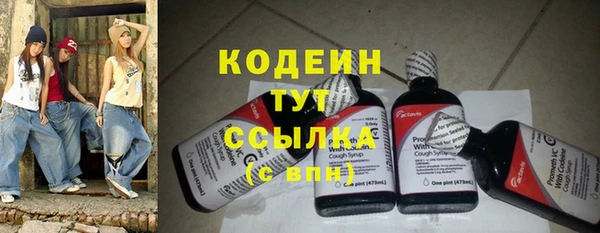 соль ск Алзамай